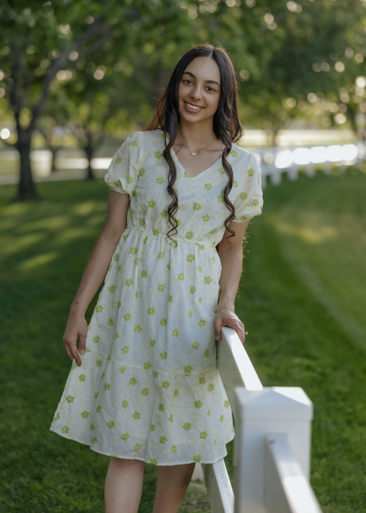 Limemade Midi Dress